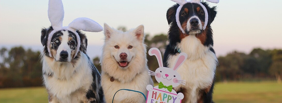 Get Ready to Hop into an Exciting Easter Celebration in Tennessee!