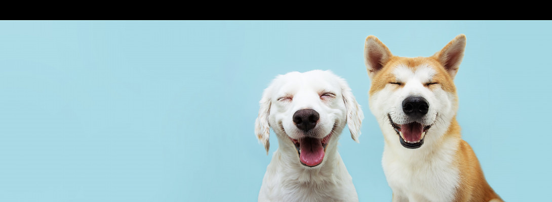 Feeling great about my site and first several posts!