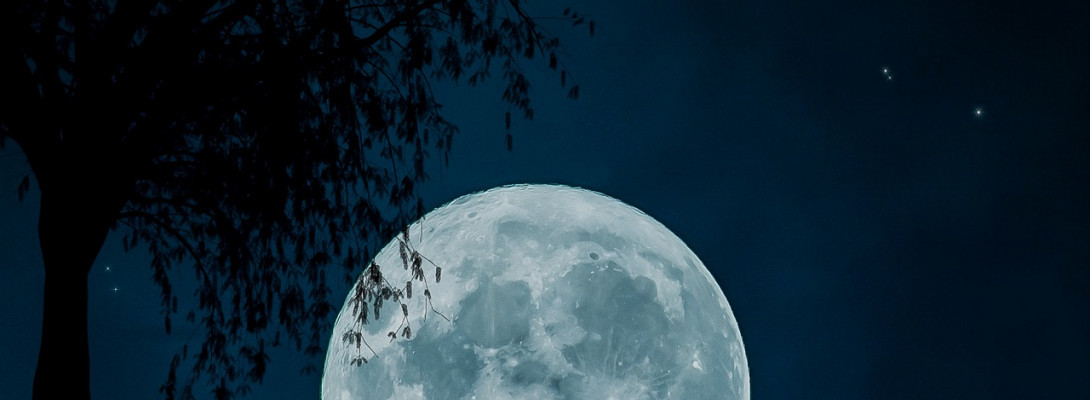 Part Two: Types of Sales Forecasting Series