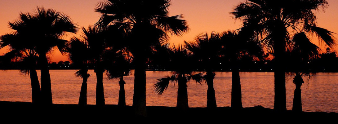 Premium Plus for Success