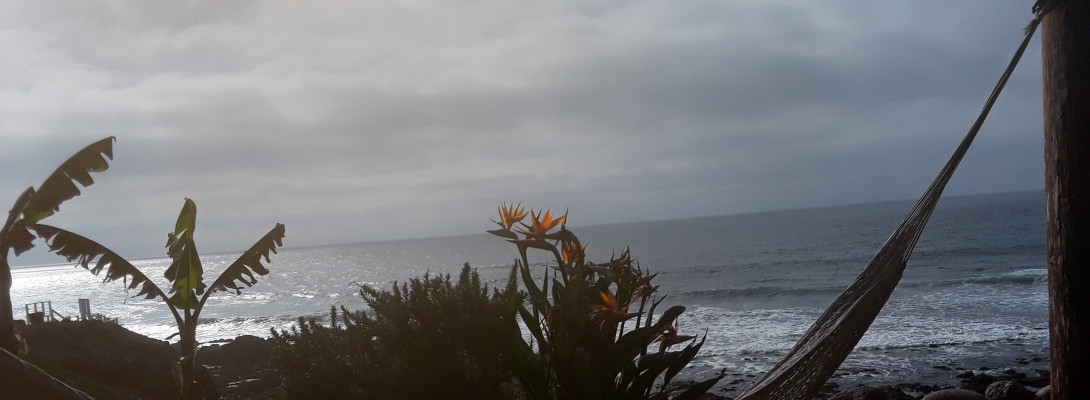 ready to put pedal to metal