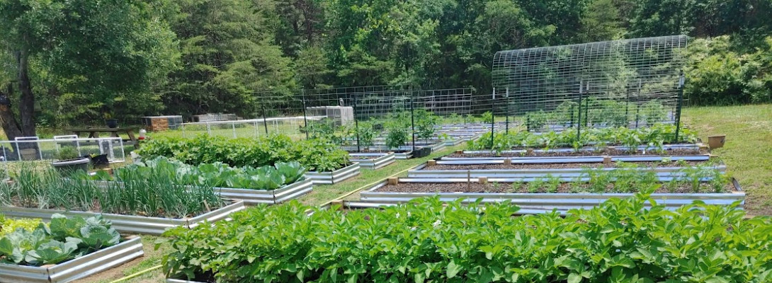 Raised Beds Are Raising my Hope! (And so is this community!)