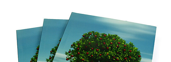 How To Print A Book Oversea?