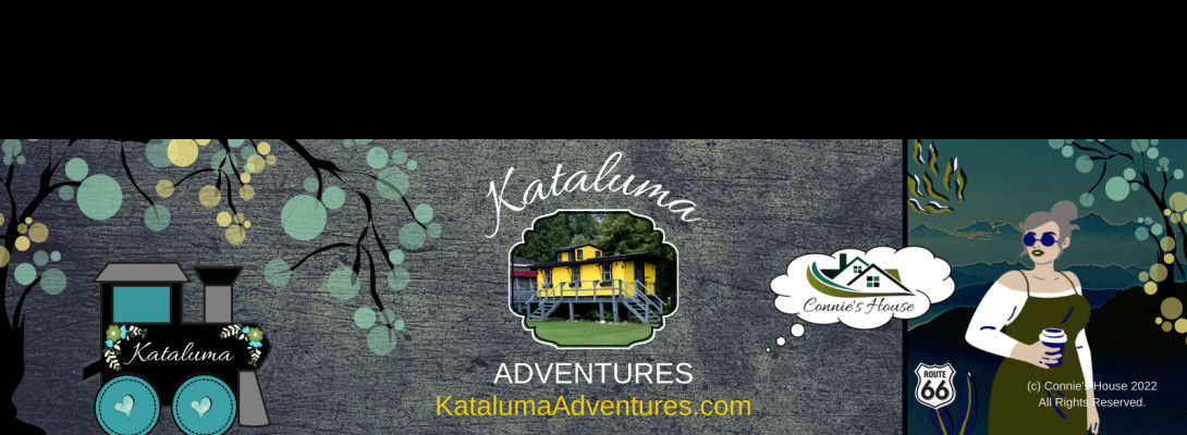 Celebrating Six Months of Wealthy Affiliate & The Launch Into My New Life!