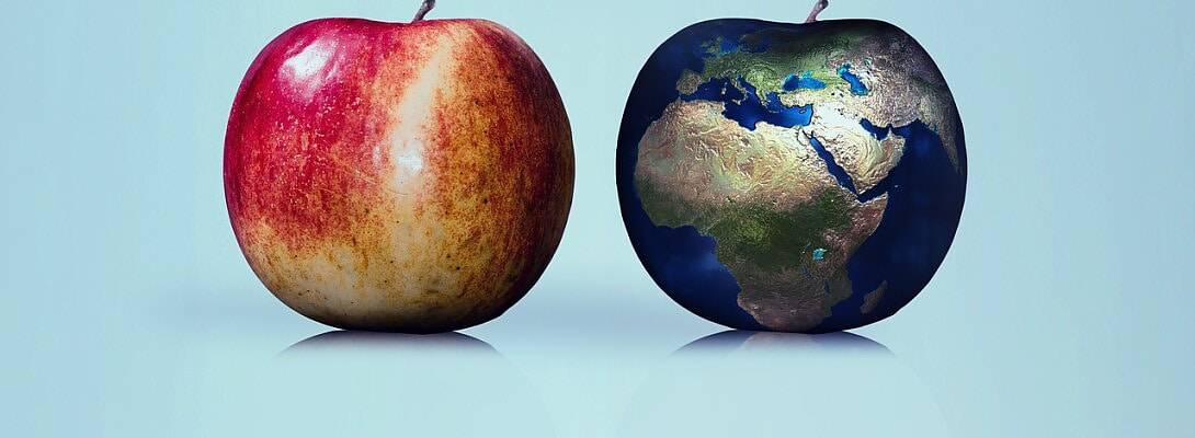 Understanding Jaaxy QSR vs. Google Search Results: Are They Always Accurate?