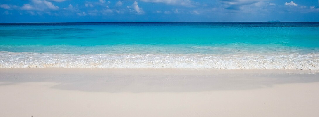 Love on Siesta Key Beach
