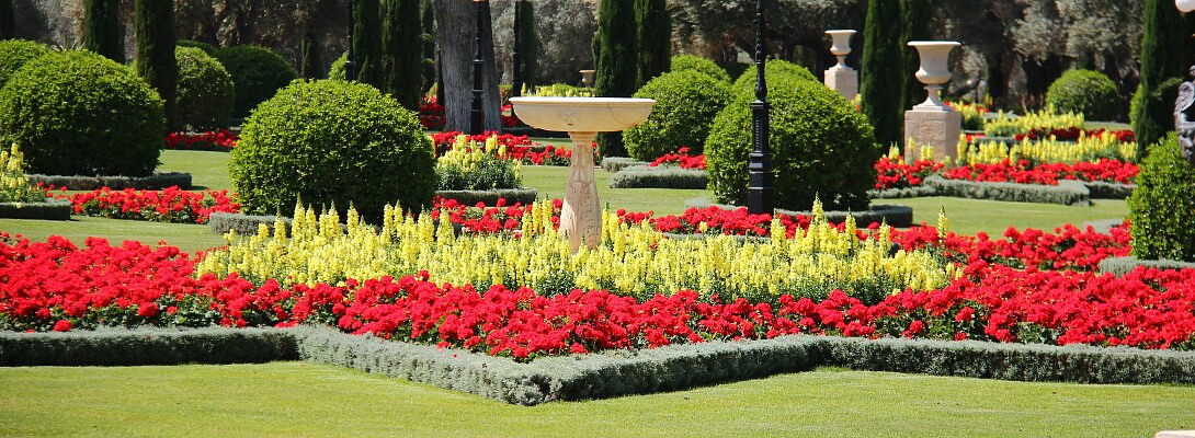 Make money providing lawn care services