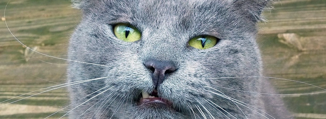 One step forward, two back