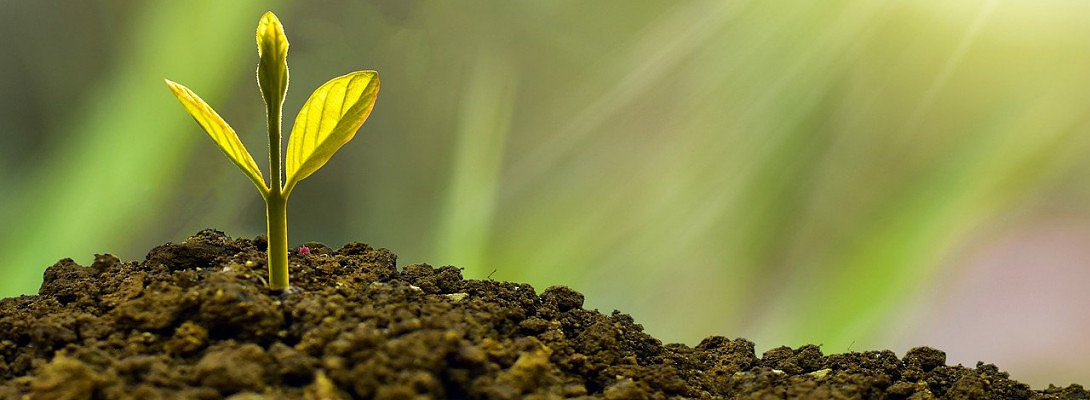 Growing through time