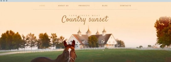 Coolest WordPress Themes for your 2019 Website