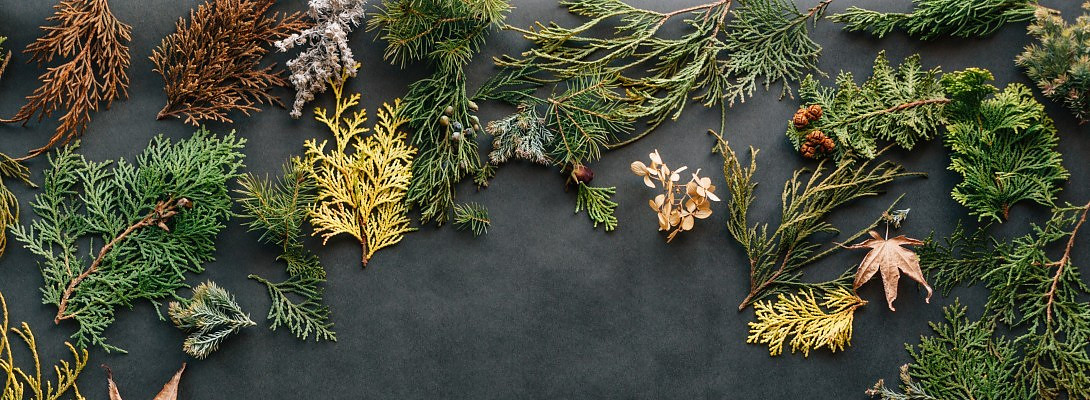 Happy Thanksgiving!: The Power of Being Thankful