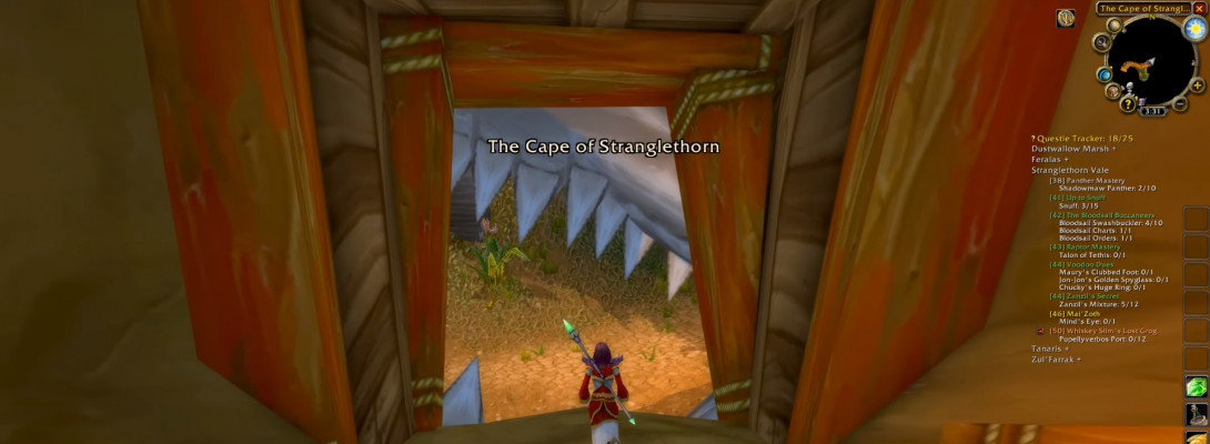 The Wizard is always a damagedealing machine