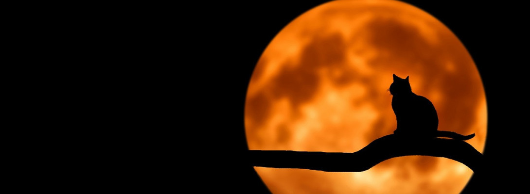 I am very excited. everyone should hear. Yuhuhuhuhu.