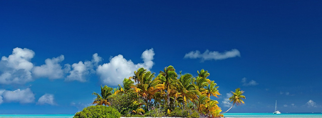 Travel Site starting to catch eyes!