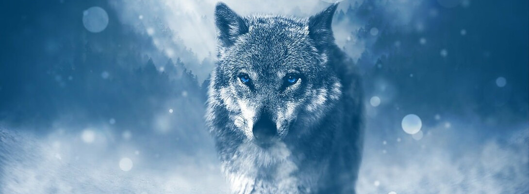 Don't fall for the platitudes, life is predatory