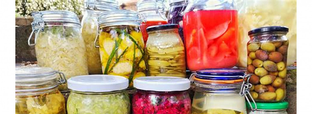 The Magical World of Food Fermentation P.1