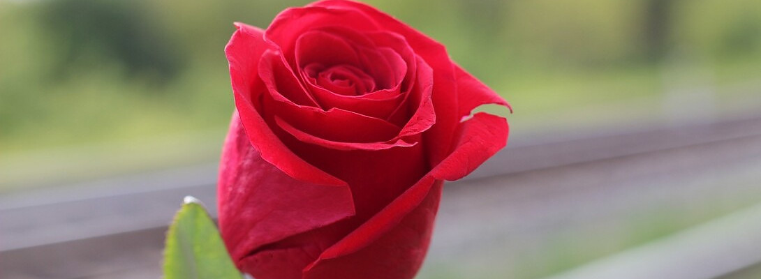Love in the air