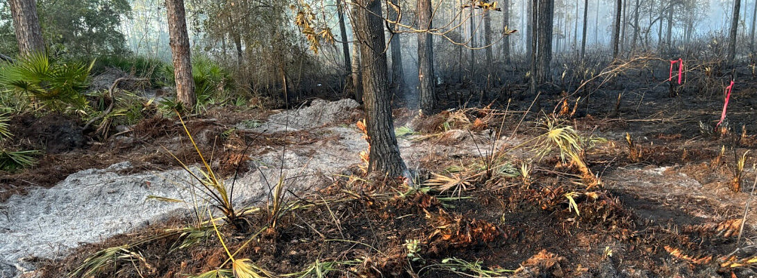 A Christmas Eve Wildfire, Hyper-relevant Categories, and Merry Christmas!