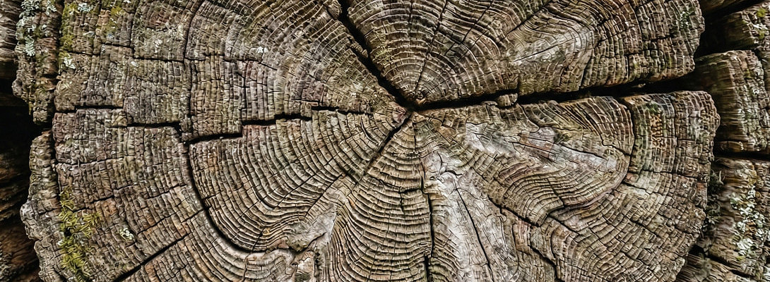 If SEO Is Your Strategy, You're Already Losing