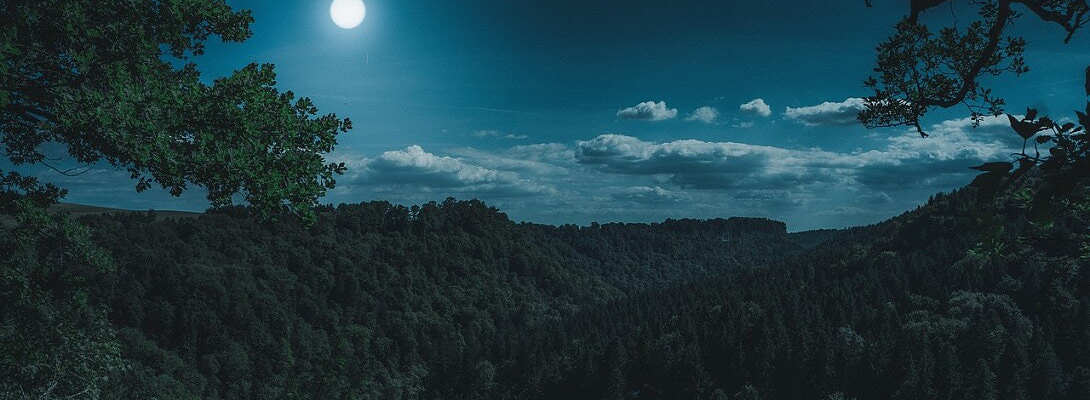 ???? Halloween: Friday the 13th in Disguise