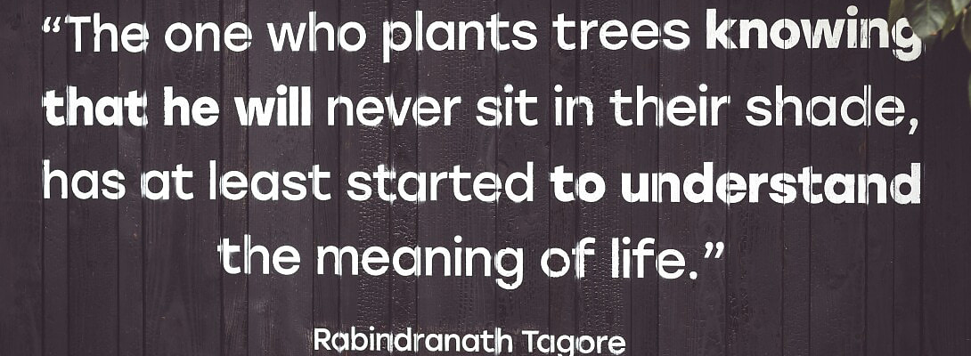 The Unexpected Teacher