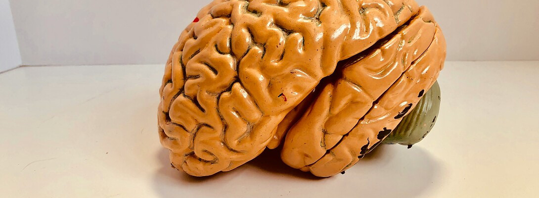 What If We Could Read Each Other’s Minds? (And What That Would Mean for Marketing & Busine