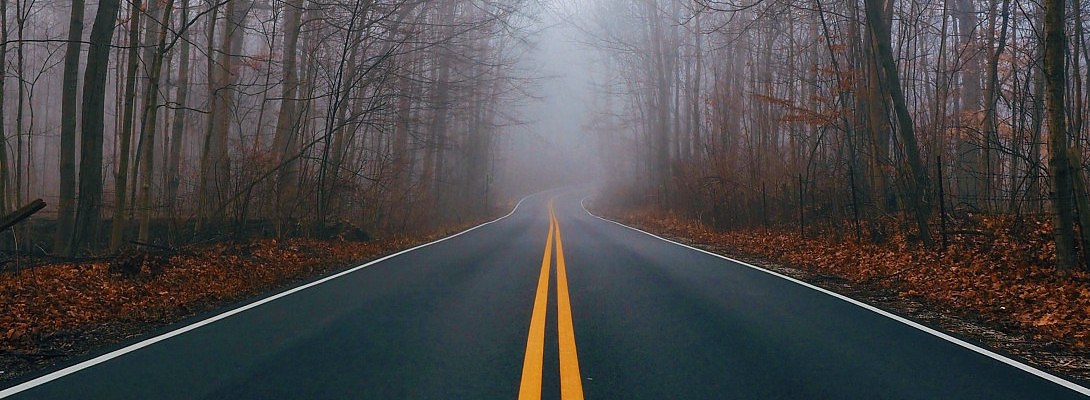 What is The Path to Life?