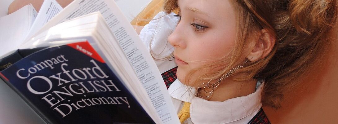 Memorizing vs Understanding: Unraveling the Threads of Learning