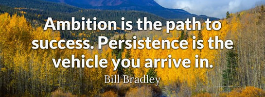 What is the Importance of Persistence in Success?