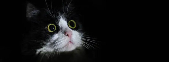 The Courage to Begin