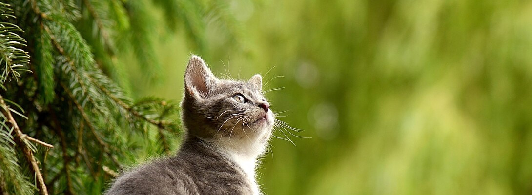 Tip #1: Whenin doubt, Slow Down!