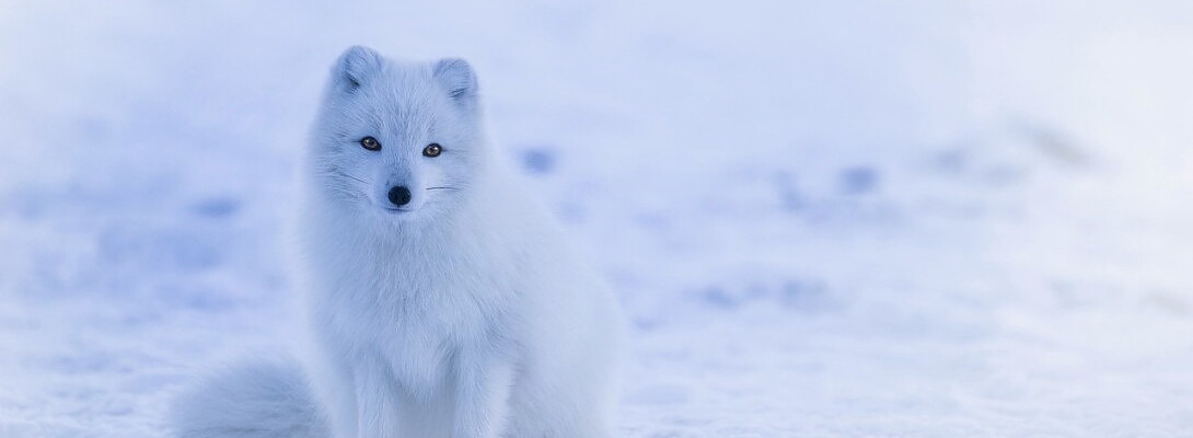 Fresh Start, I'm Ready To Get Started!