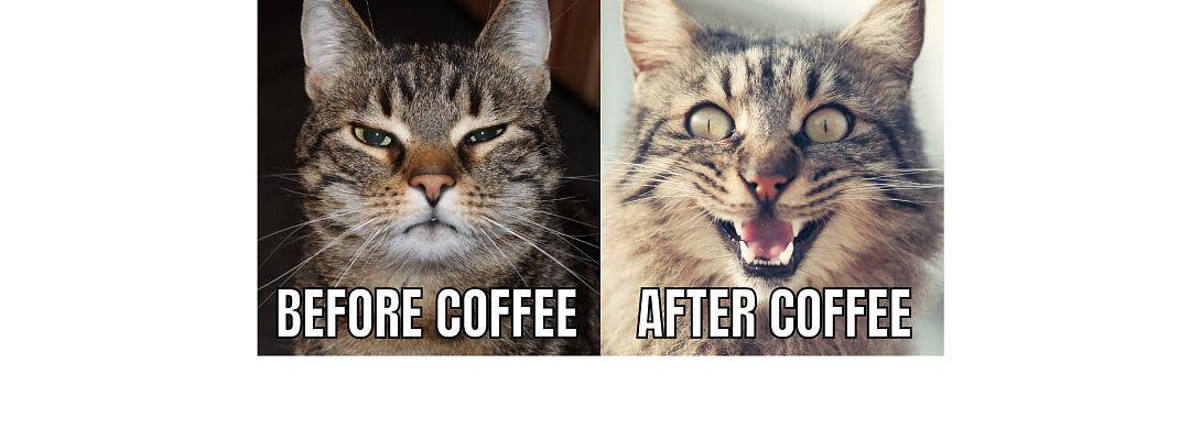 Just A Little Advice from my Experiance