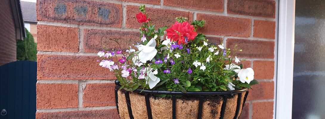 I've just completed a Certification Course.