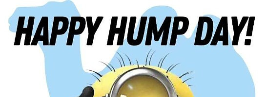 Happy Hump Day !