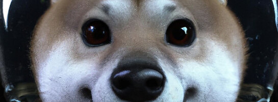 AI Affiliate site or simply a site that offers Open AI/ChatGPT?