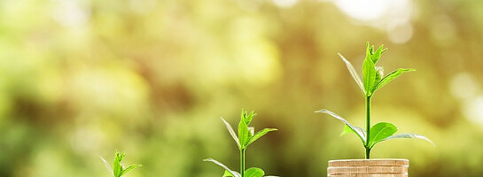 Completing Level 2 - Website Up and posting daily