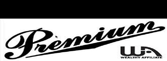 Elevating My Wealthy Affiliate Experience: Upgrading to Premium Plus