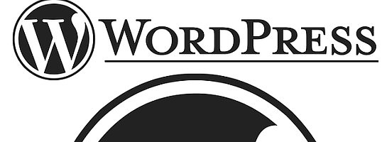 WordPress Themes-How To Choose Your Theme