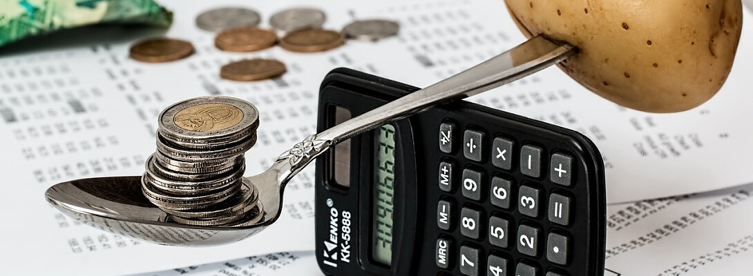 "From Debt to Dollars: A Journey to Financial Wellness"