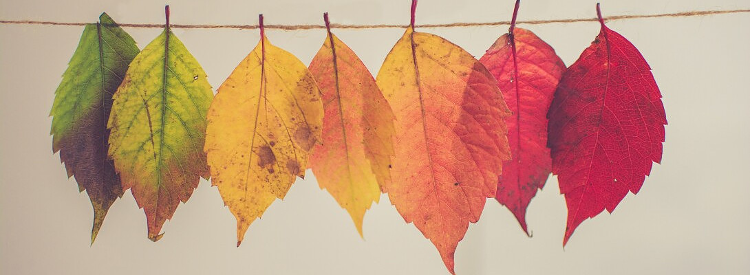 Embracing change: My journey with wealthy affiliate