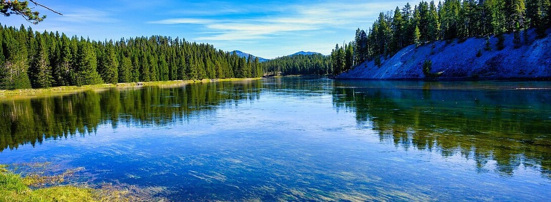 Diversifying Your Income Streams in Affiliate Marketing