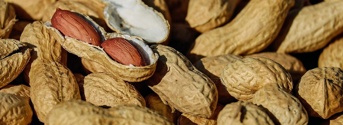 The Peanut Nut is Born! (Why My Next Niche is Personal)