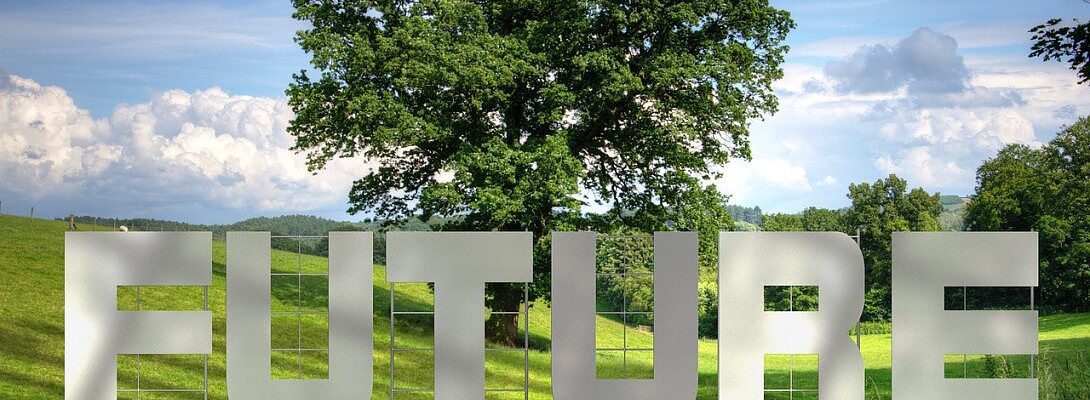 Two Weeks and Counting - An Update