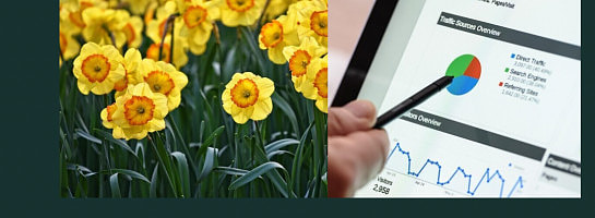 Gardening And Affiliate Marketing: Planting Seeds To Harvest Cash