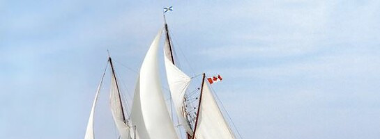 My Wealthy Affiliate Journey