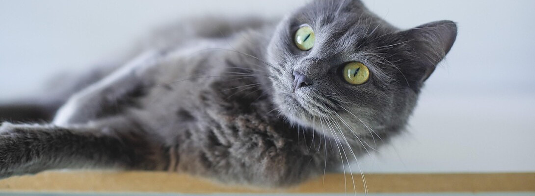 Using AI to Create Sponsored Post Concepts