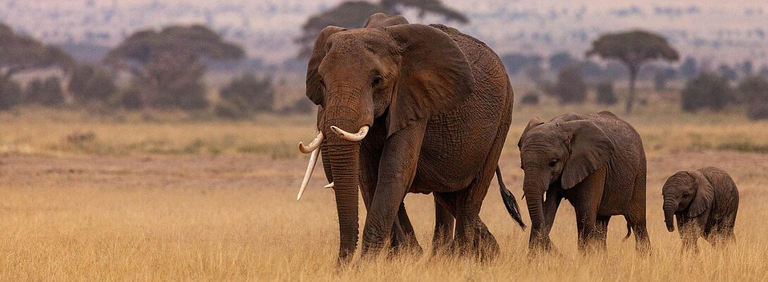 Why I Moved to Kenya from South Sudan