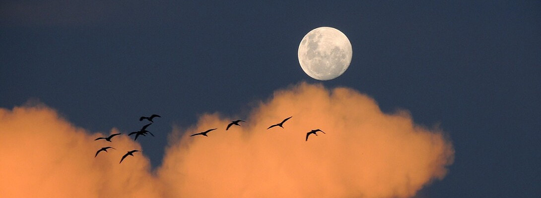 Keeping Motivation High During Slow Growth Periods