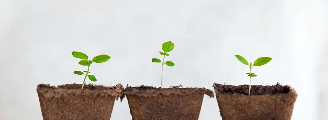 Building an Evergreen Content Strategy for Your Wealthy Affiliate Site